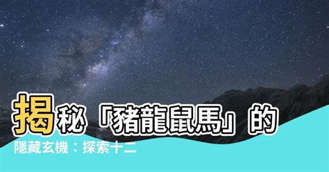 豬龍鼠馬的意思|【豬龍鼠馬是什麼意思】揭秘「豬龍鼠馬」的隱藏玄機：探。